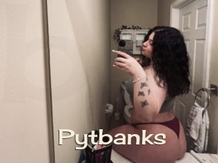 Pytbanks