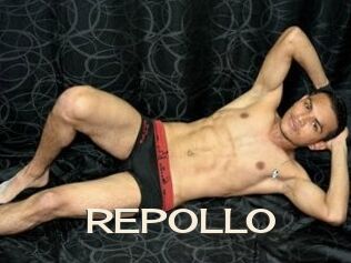 REPOLLO