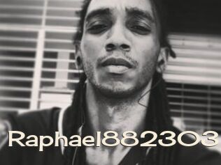 Raphael882303