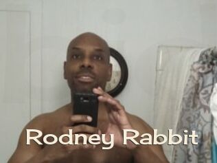 Rodney_Rabbit