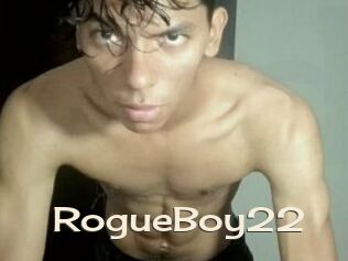 RogueBoy22