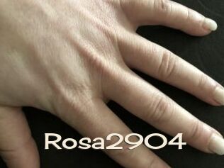 Rosa2904