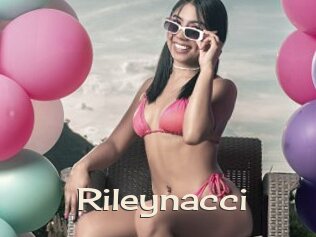 Rileynacci