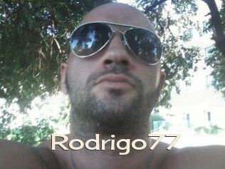 Rodrigo77