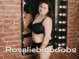 Rosaliebigboobs