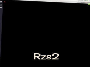 Rzs2