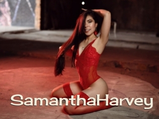 SamanthaHarvey Big Dicks Round Ass