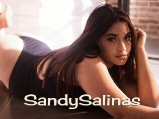 SandySalinas