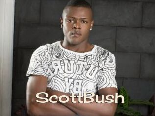 ScottBush