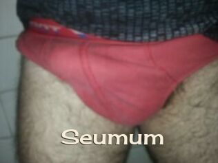 Seumum Big Dicks Round Ass