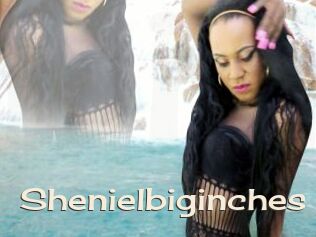 Shenielbiginches
