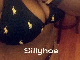 Sillyhoe
