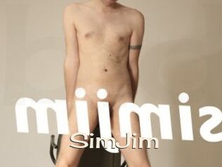 SimJim