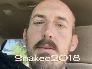 Snakec2018
