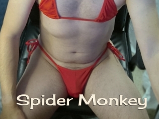 Spider_Monkey