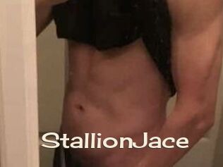 StallionJace
