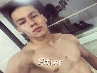 Stier