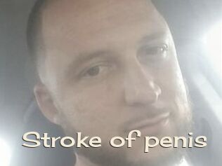 Stroke_of_penis