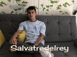 Salvatredelrey