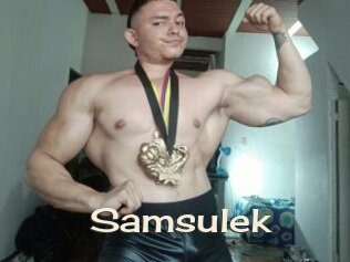 Samsulek