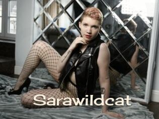 Sarawildcat