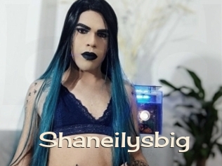 Shaneilysbig