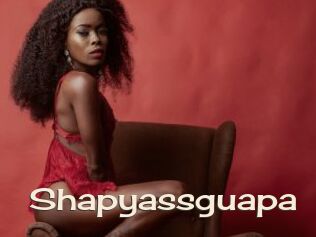 Shapyassguapa
