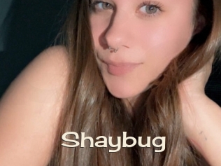 Shaybug
