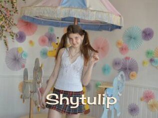 Shytulip