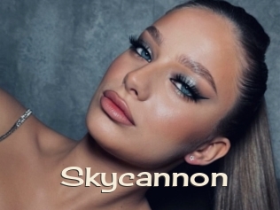 Skycannon