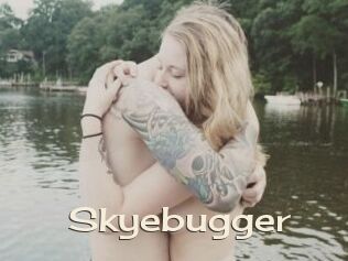 Skyebugger