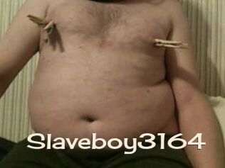 Slaveboy3164