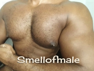 smellofmale Big Dicks Round Ass