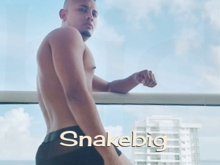 snakebig Big Dicks Round Ass