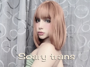 Soary_trans