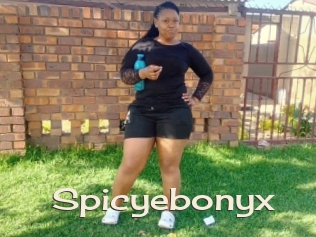 Spicyebonyx