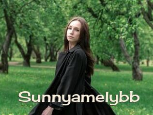 Sunnyamelybb