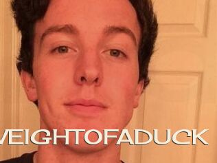 THEWEIGHTOFADUCK
