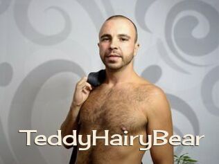 TeddyHairyBear