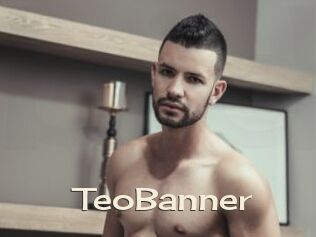 TeoBanner