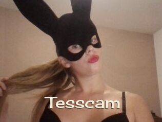Tesscam
