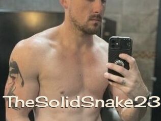 TheSolidSnake23