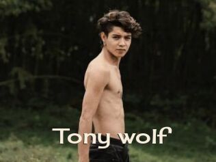 Tony_wolf