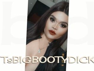 TsBIGBOOTYDICK