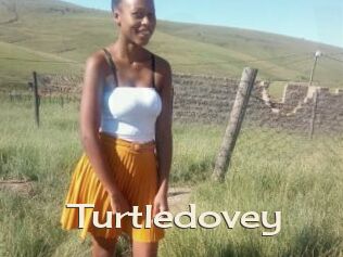 Turtledovey