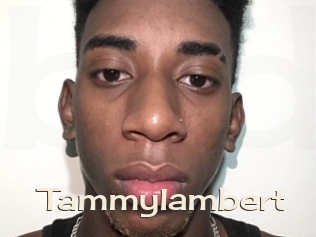 Tammylambert