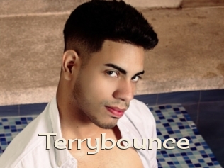 Terrybounce
