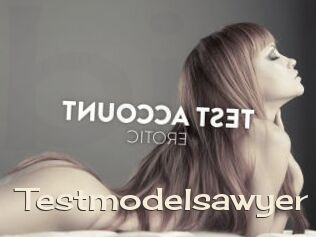 Testmodelsawyer