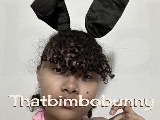 Thatbimbobunny