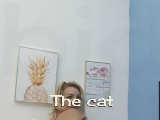 The_cat